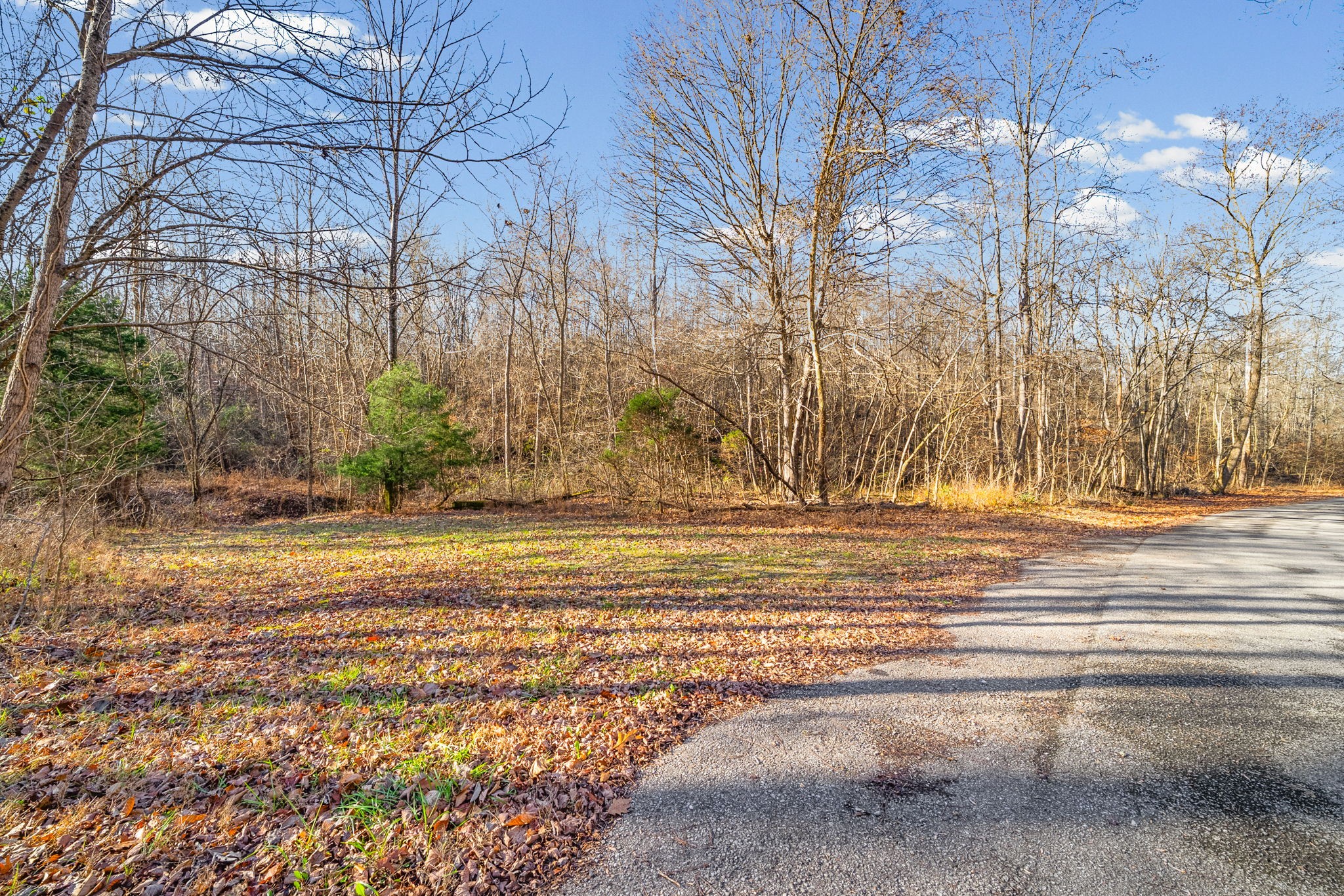 96 Ramery Road Cumberland City, TN 37050 - Photo 15 of 15