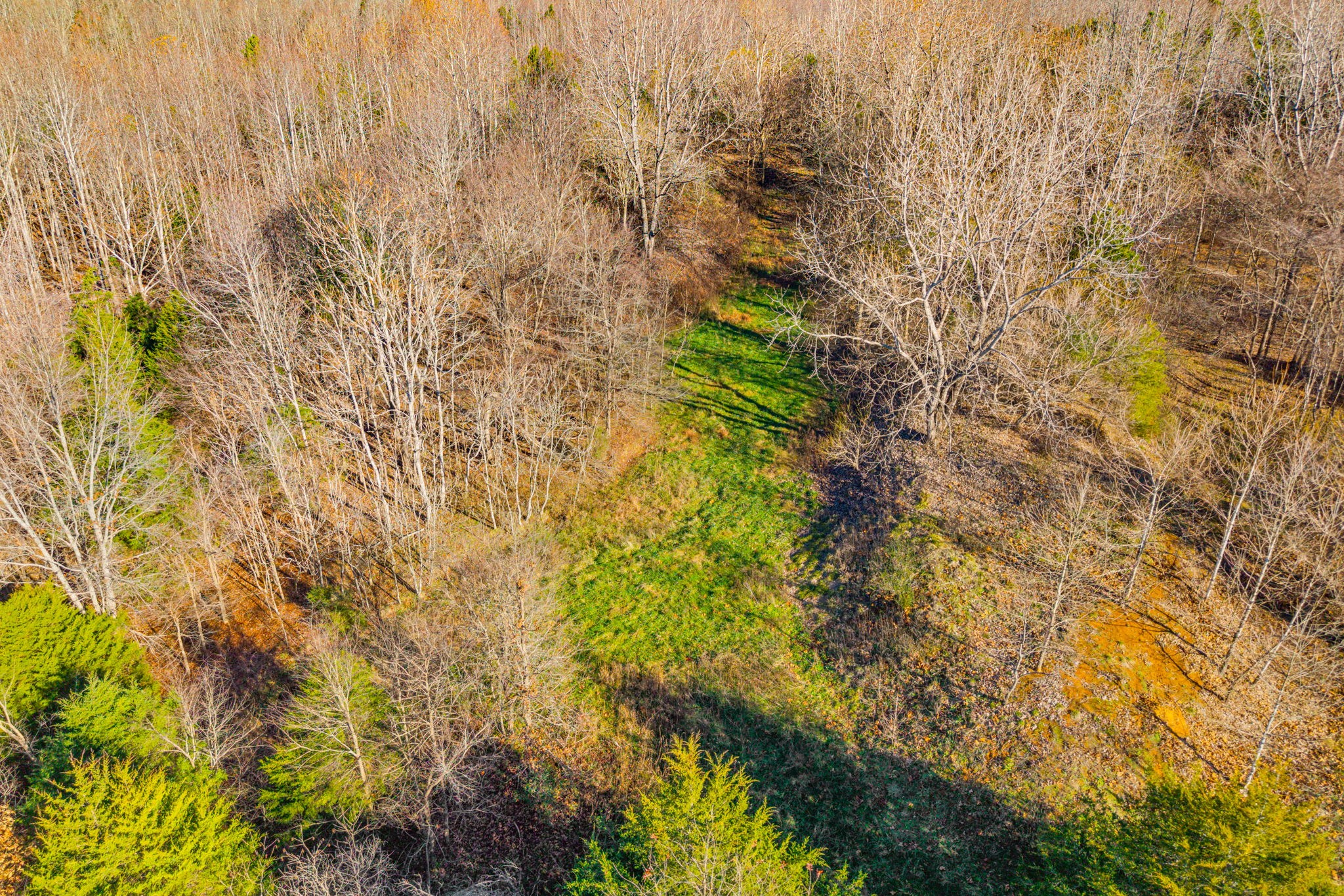 96 Ramery Road Cumberland City, TN 37050 - Photo 3 of 15