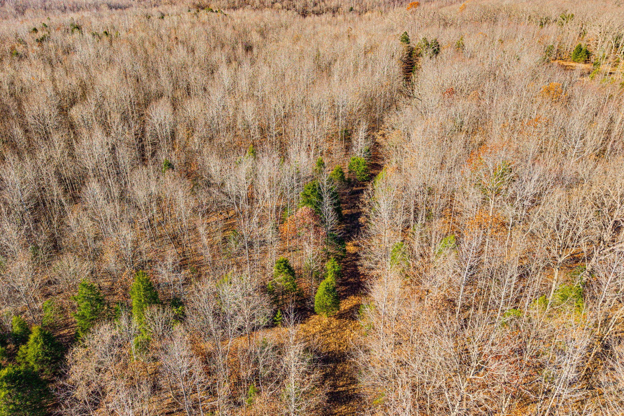 96 Ramery Road Cumberland City, TN 37050 - Photo 4 of 15