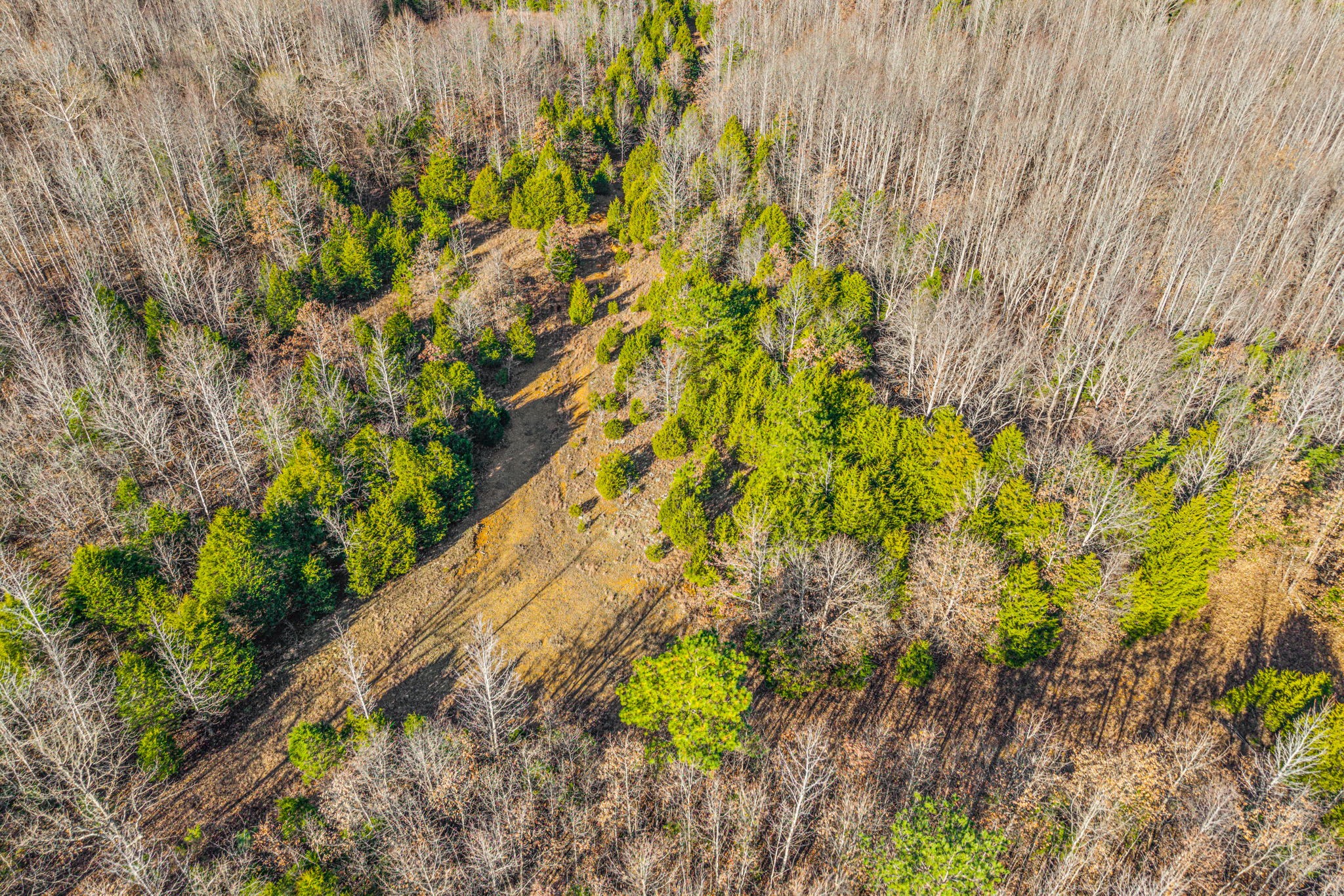 96 Ramery Road Cumberland City, TN 37050 - Photo 5 of 15