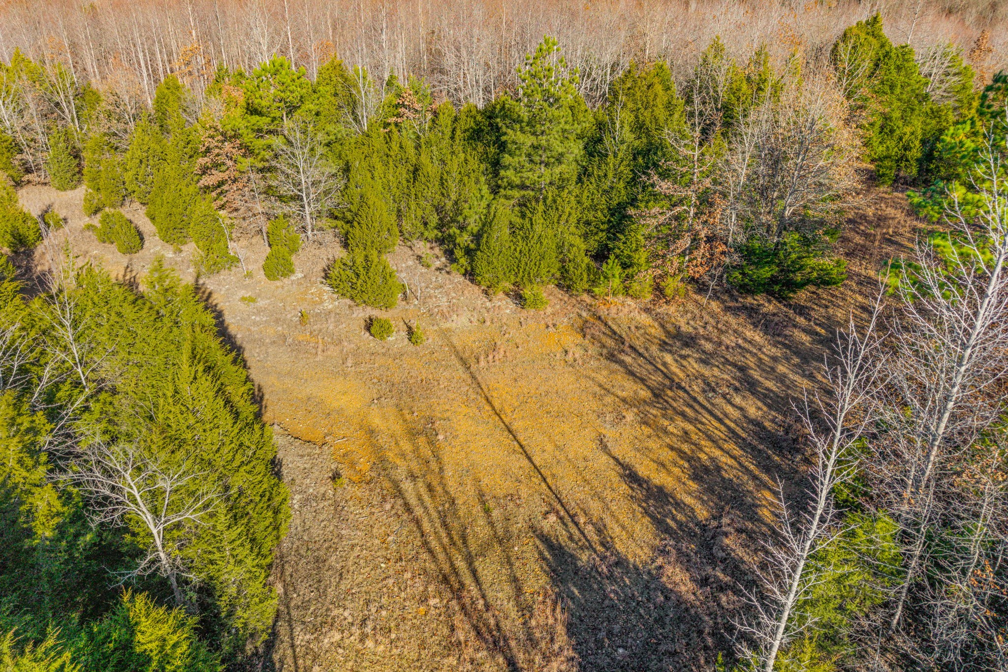 96 Ramery Road Cumberland City, TN 37050 - Photo 6 of 15