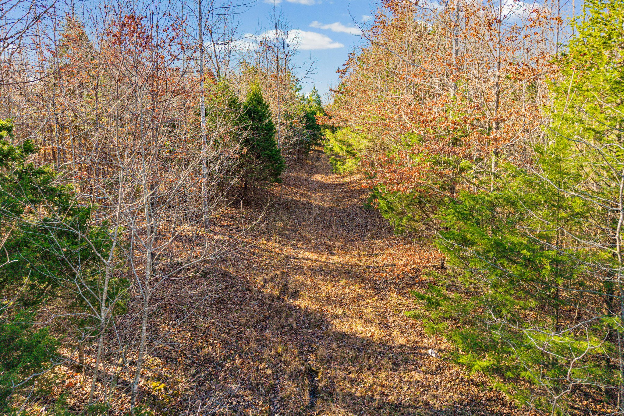 96 Ramery Road Cumberland City, TN 37050 - Photo 7 of 15