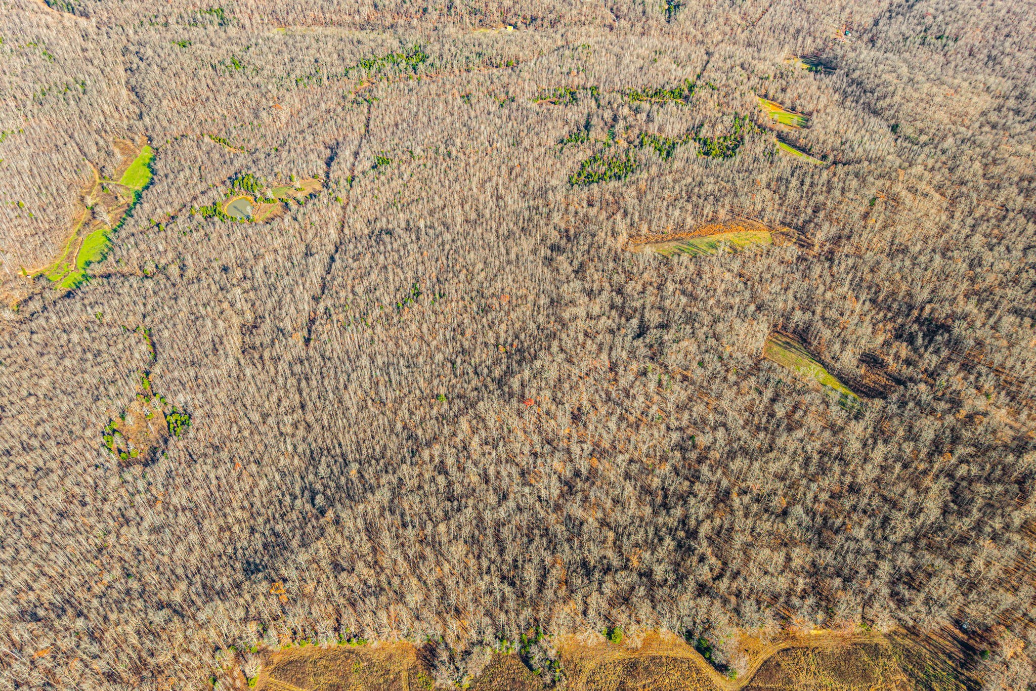 96 Ramery Road Cumberland City, TN 37050 - Photo 8 of 15