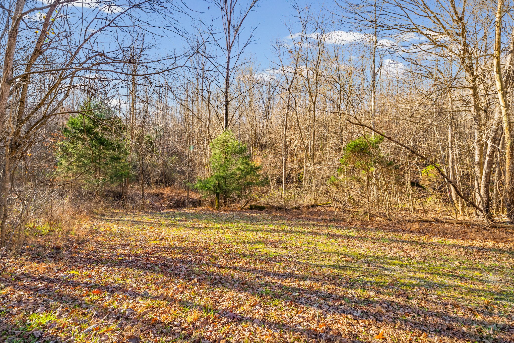 96 Ramery Road Cumberland City, TN 37050 - Photo 9 of 15