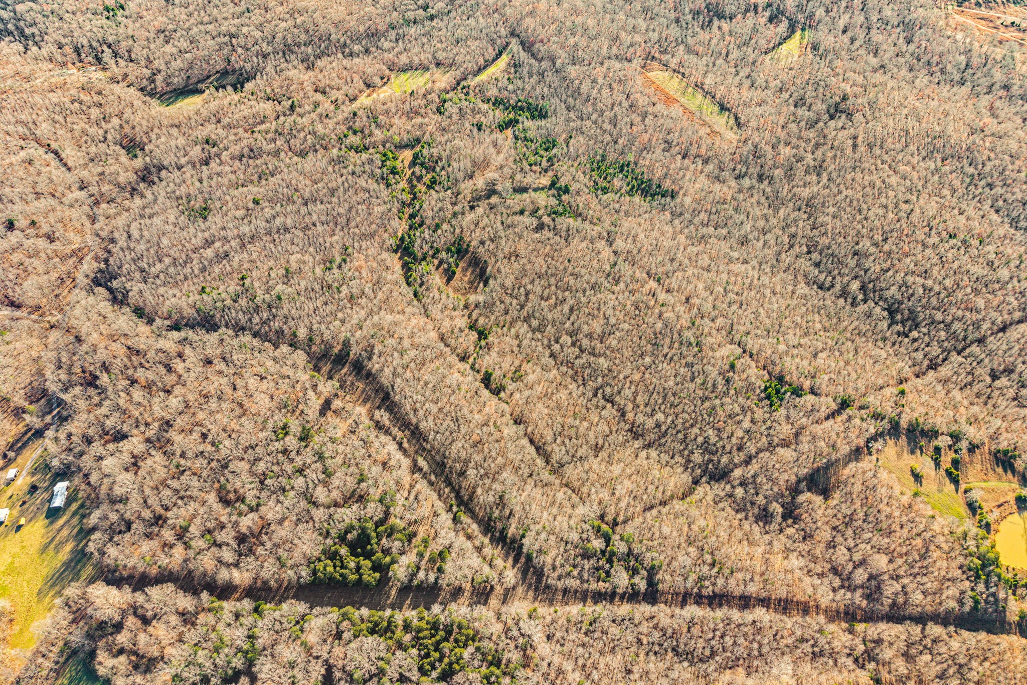 96 Ramery Road Cumberland City, TN 37050 - Photo 10 of 15