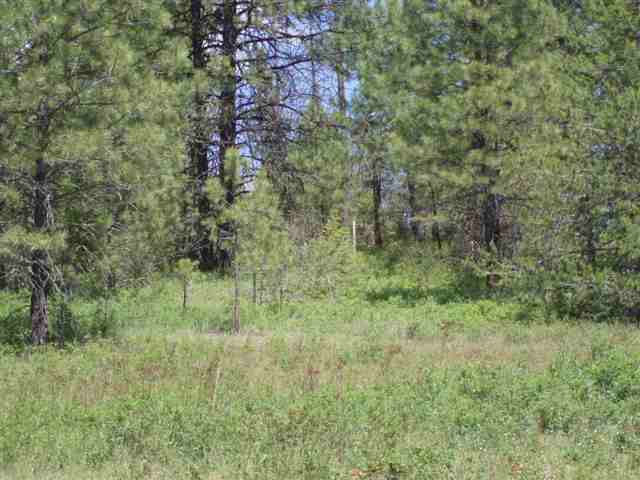 53-xx Olinger Road Springdale, WA 99173 - Photo 5 of 7