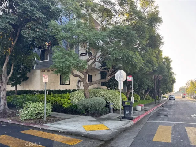 a view of a street with palm trees