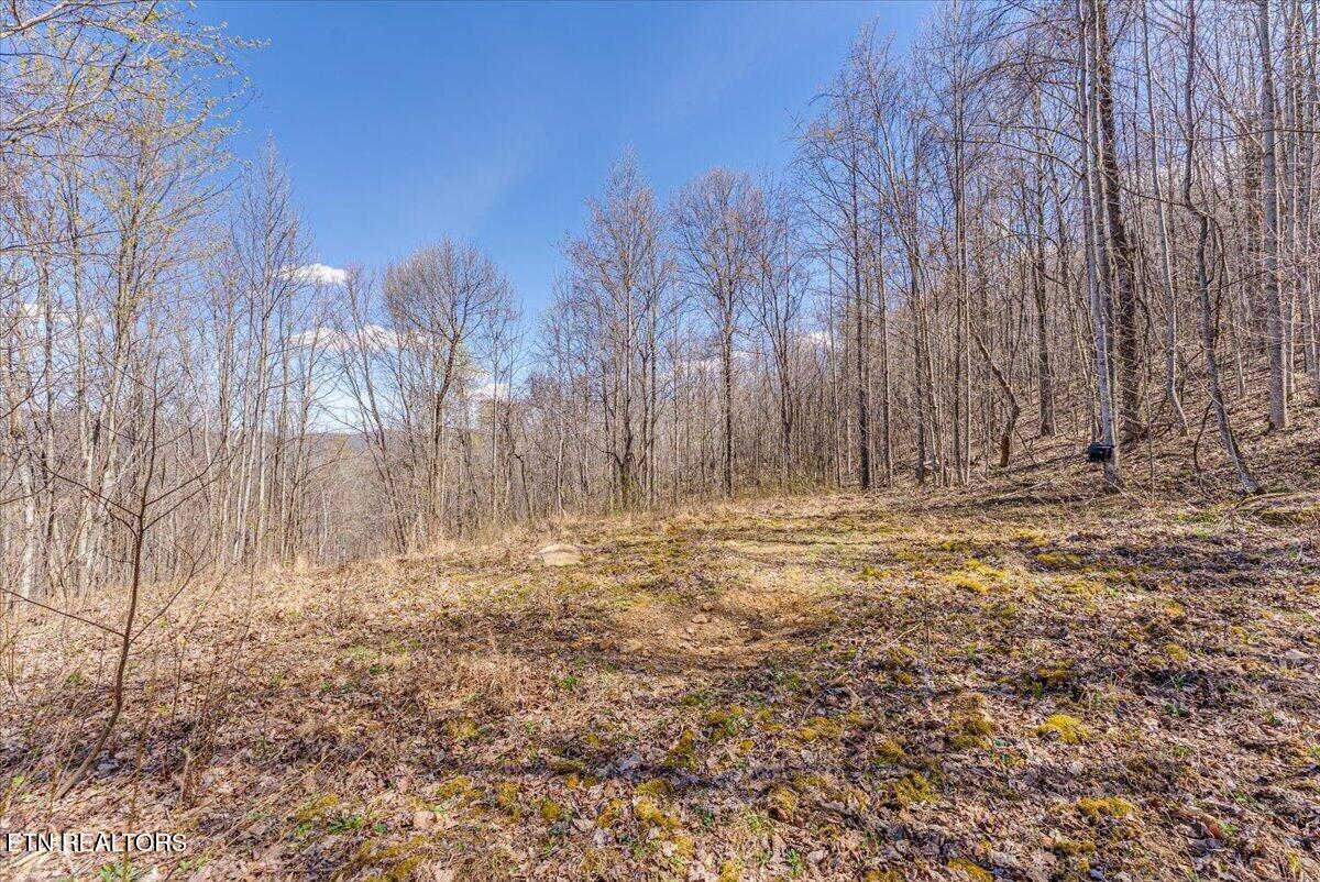 422 Crooked Branch Road Huntsville, TN 37756 - Photo 28 of 35 38-2nd Clearing A2