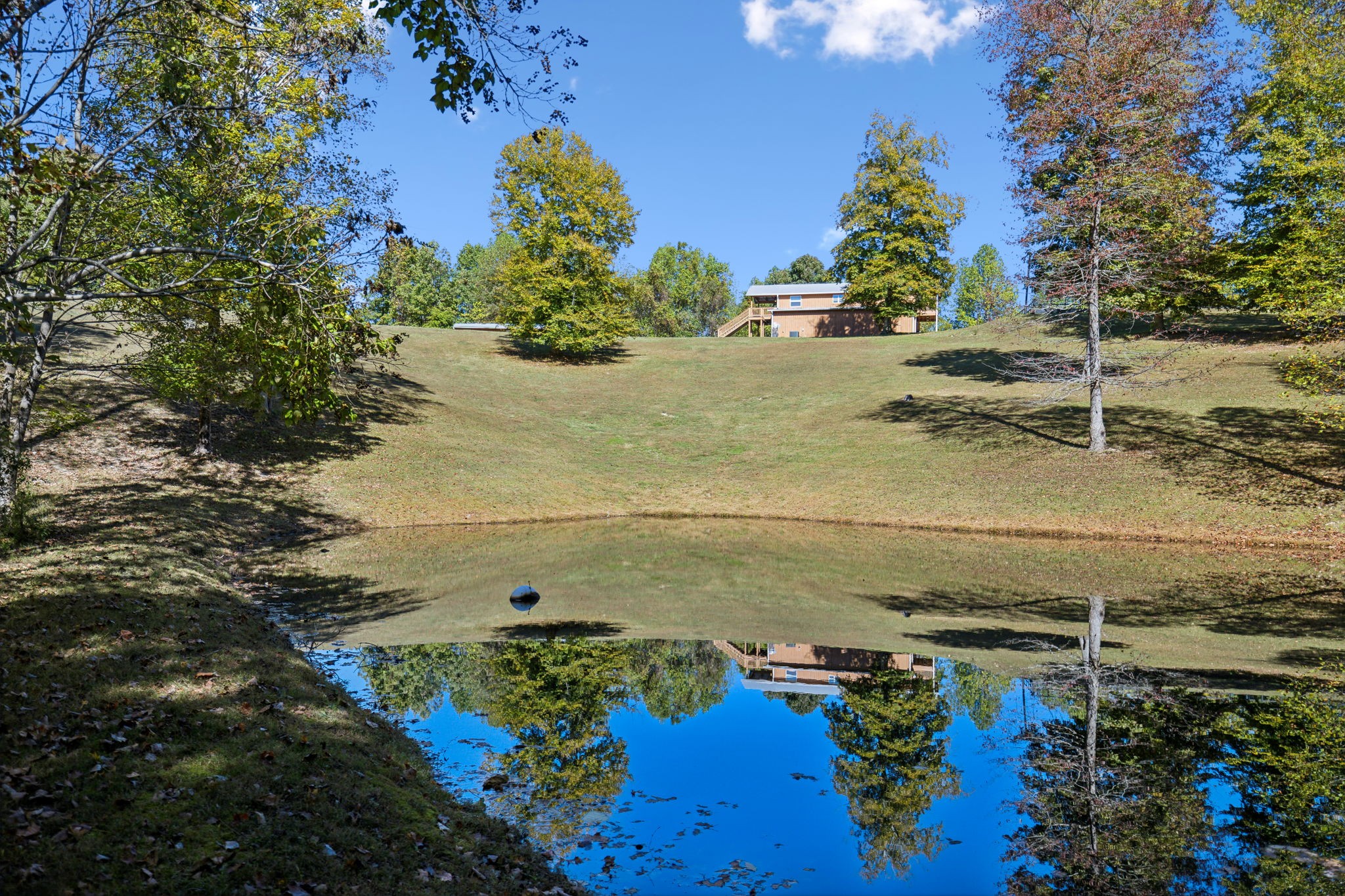 4325 Cave Springs Road Santa Fe, TN 38482 - Photo 5 of 98