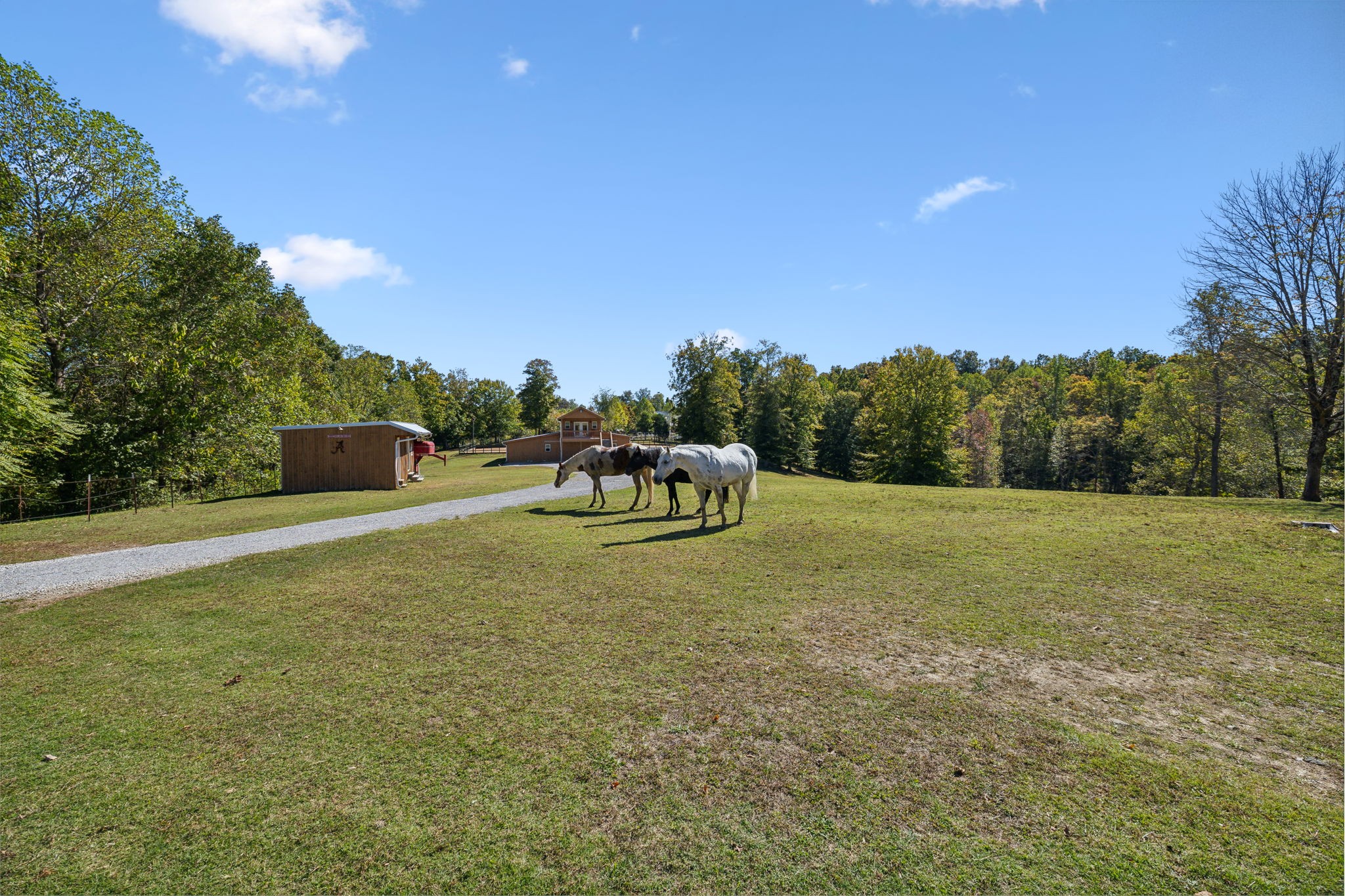 4325 Cave Springs Road Santa Fe, TN 38482 - Photo 75 of 98 a backyard of a house with table and chairs