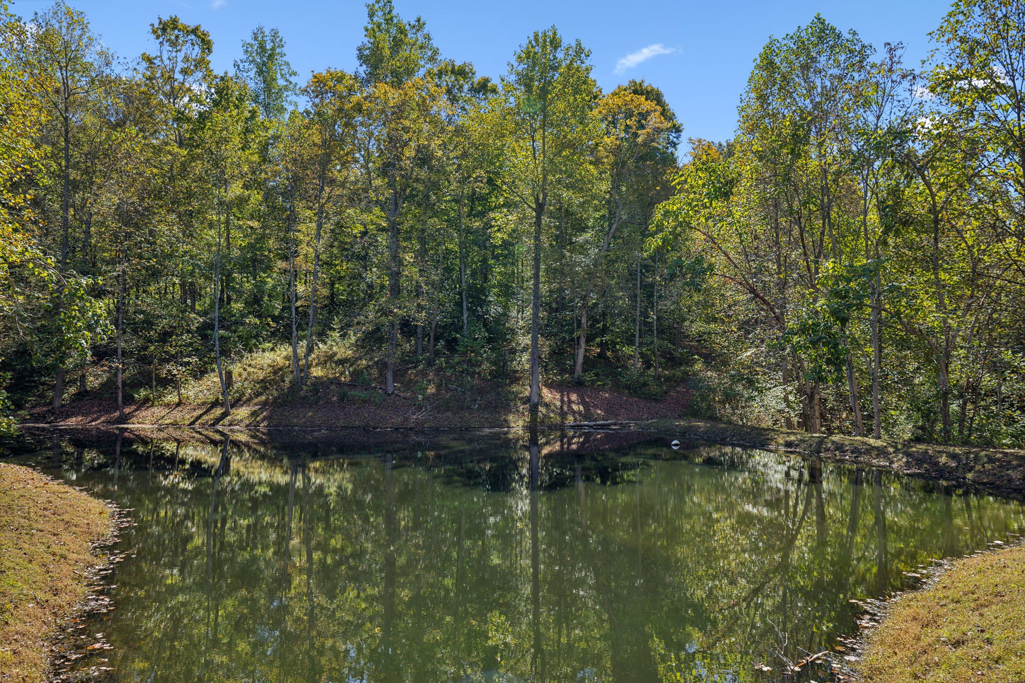 4325 Cave Springs Road Santa Fe, TN 38482 - Photo 8 of 98