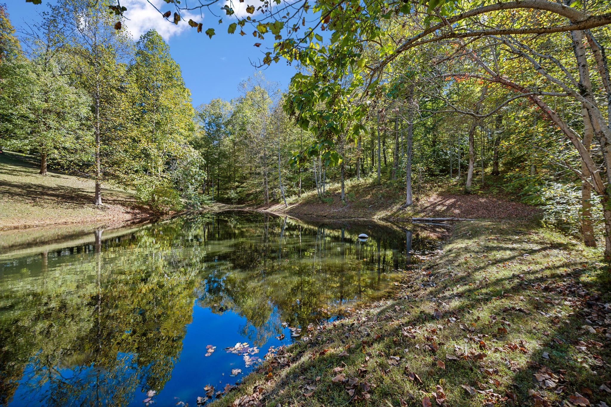 4325 Cave Springs Road Santa Fe, TN 38482 - Photo 91 of 98