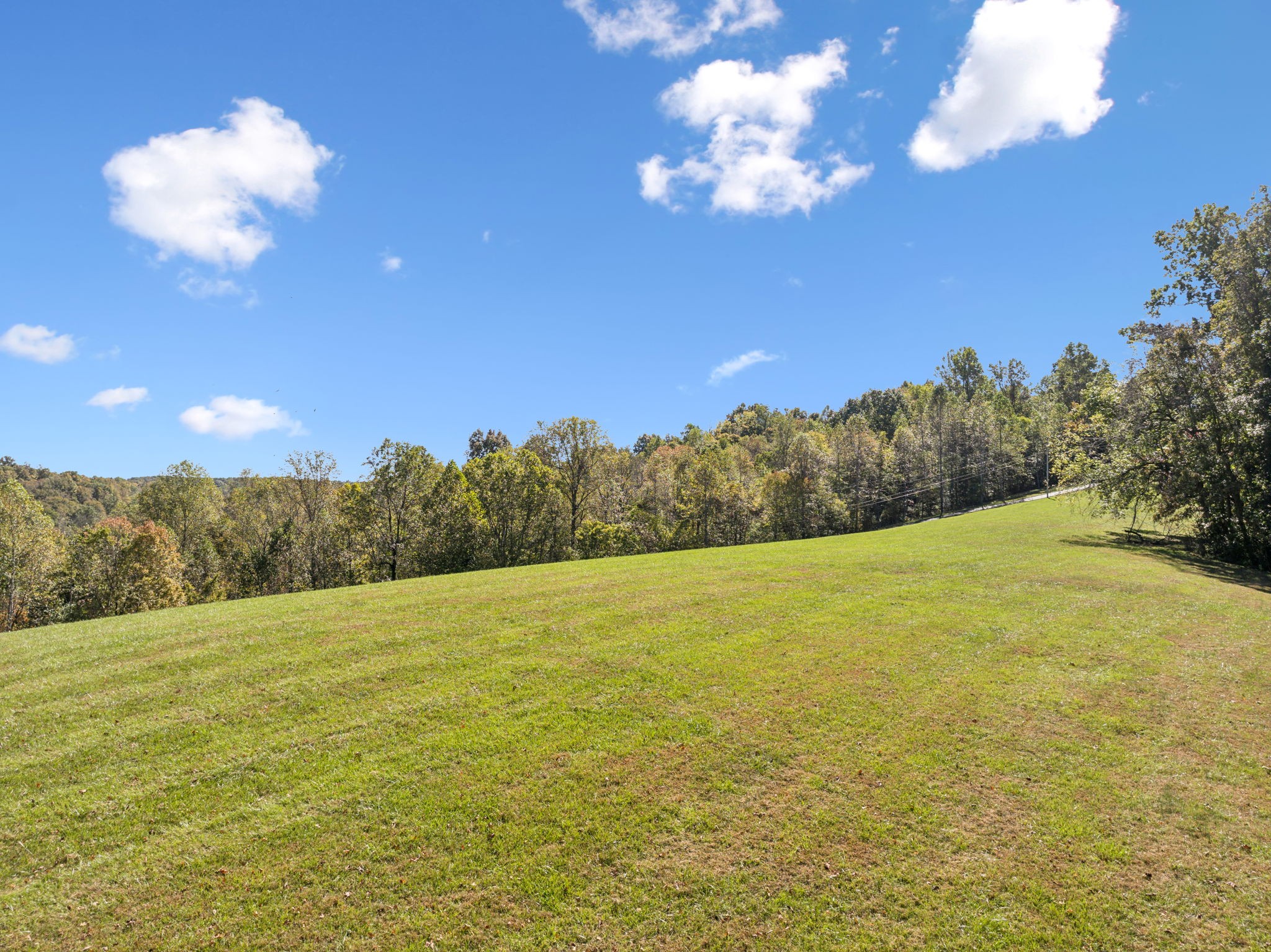 4325 Cave Springs Road Santa Fe, TN 38482 - Photo 94 of 98