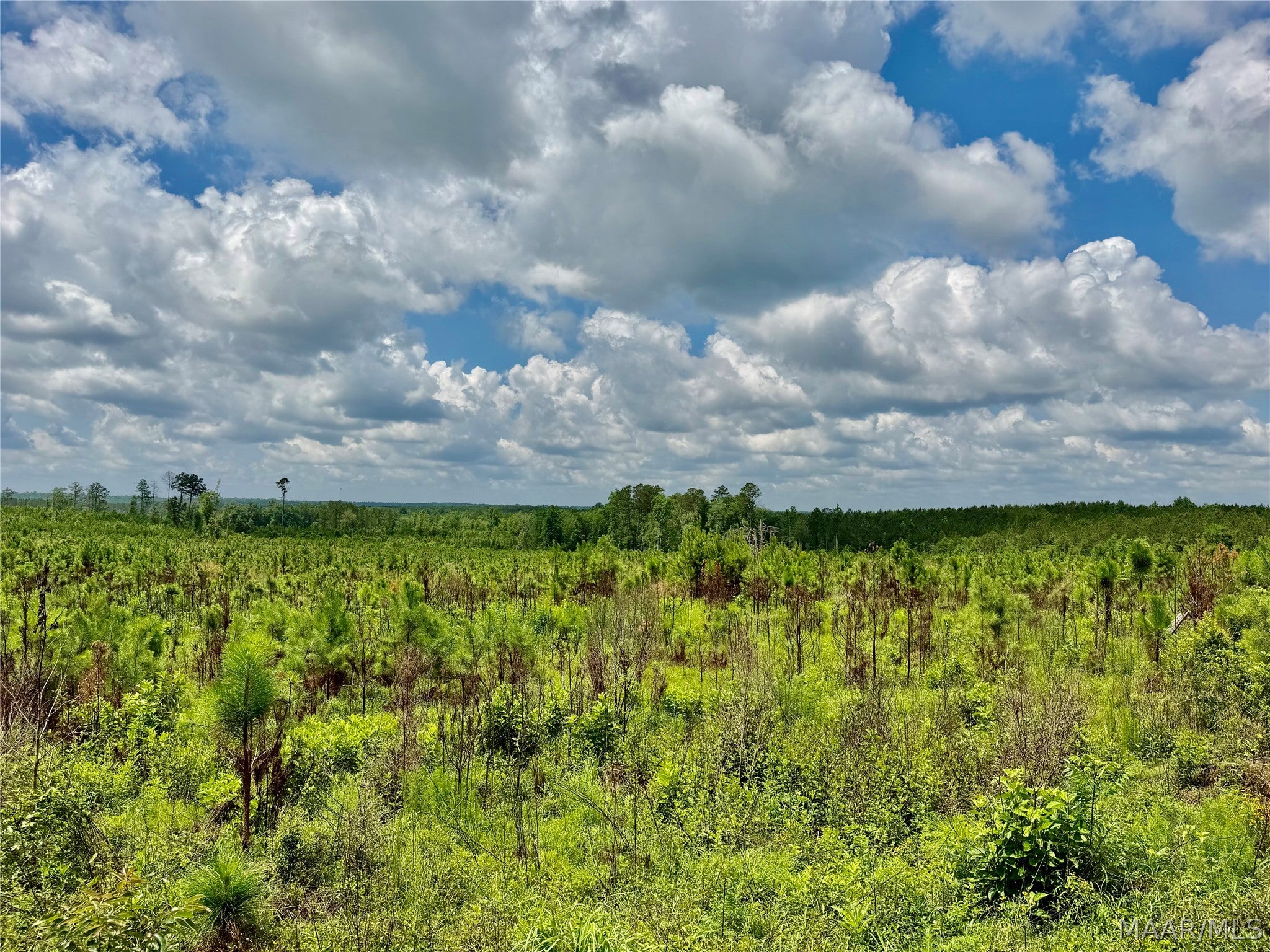 0 King Cemetery Road Brewton, AL 36426 - Photo 1 of 6 Gallery Image 1