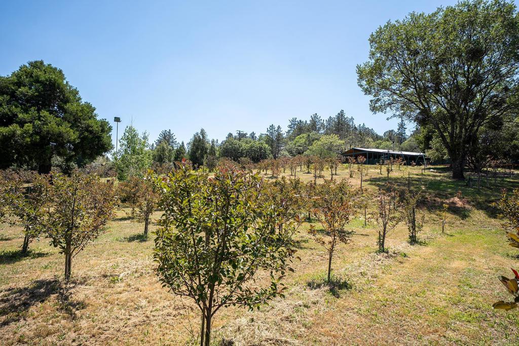 1315 Farmer Road Julian, CA 92036 - Photo 55 of 74