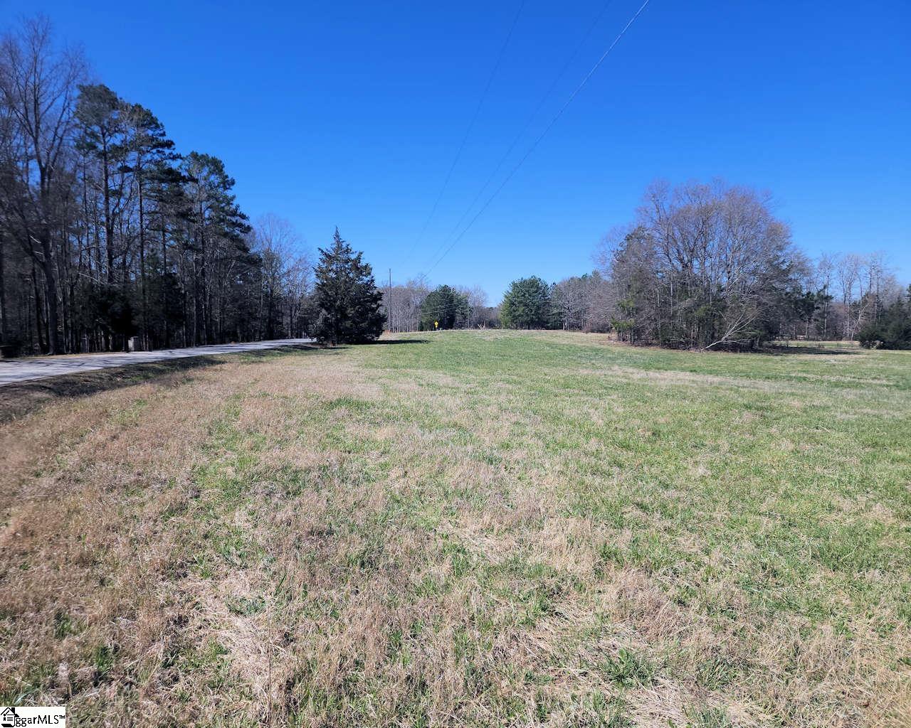 Knight Road Gray Court, SC 29645 - Photo 4 of 16