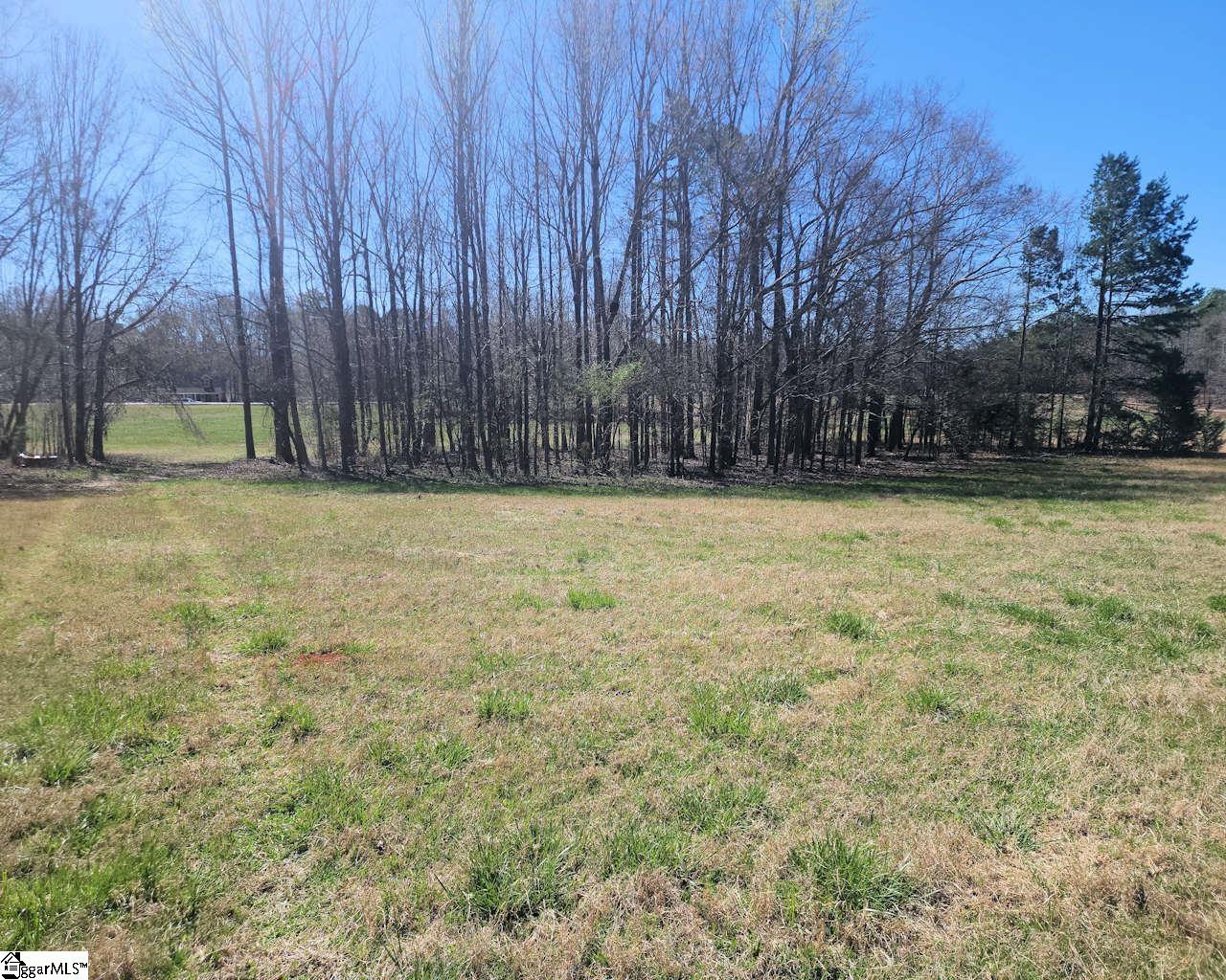 Knight Road Gray Court, SC 29645 - Photo 6 of 16