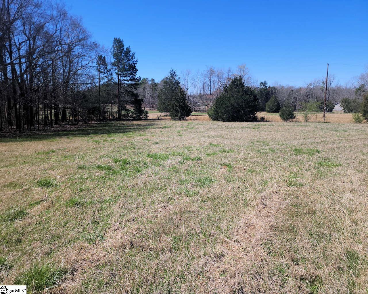 Knight Road Gray Court, SC 29645 - Photo 7 of 16