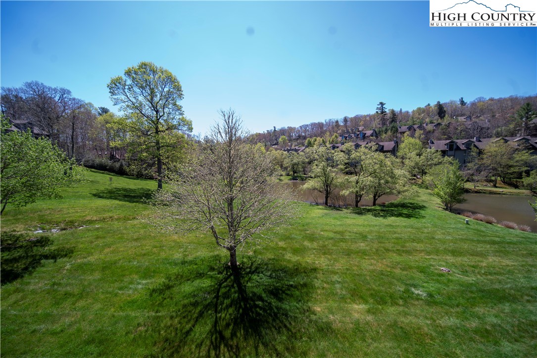 185 Waterside Drive, Unit 20 OF WALNUT 5 Blowing Rock, NC 28605 - Photo 15 of 15 a backyard of a house with lots of green space