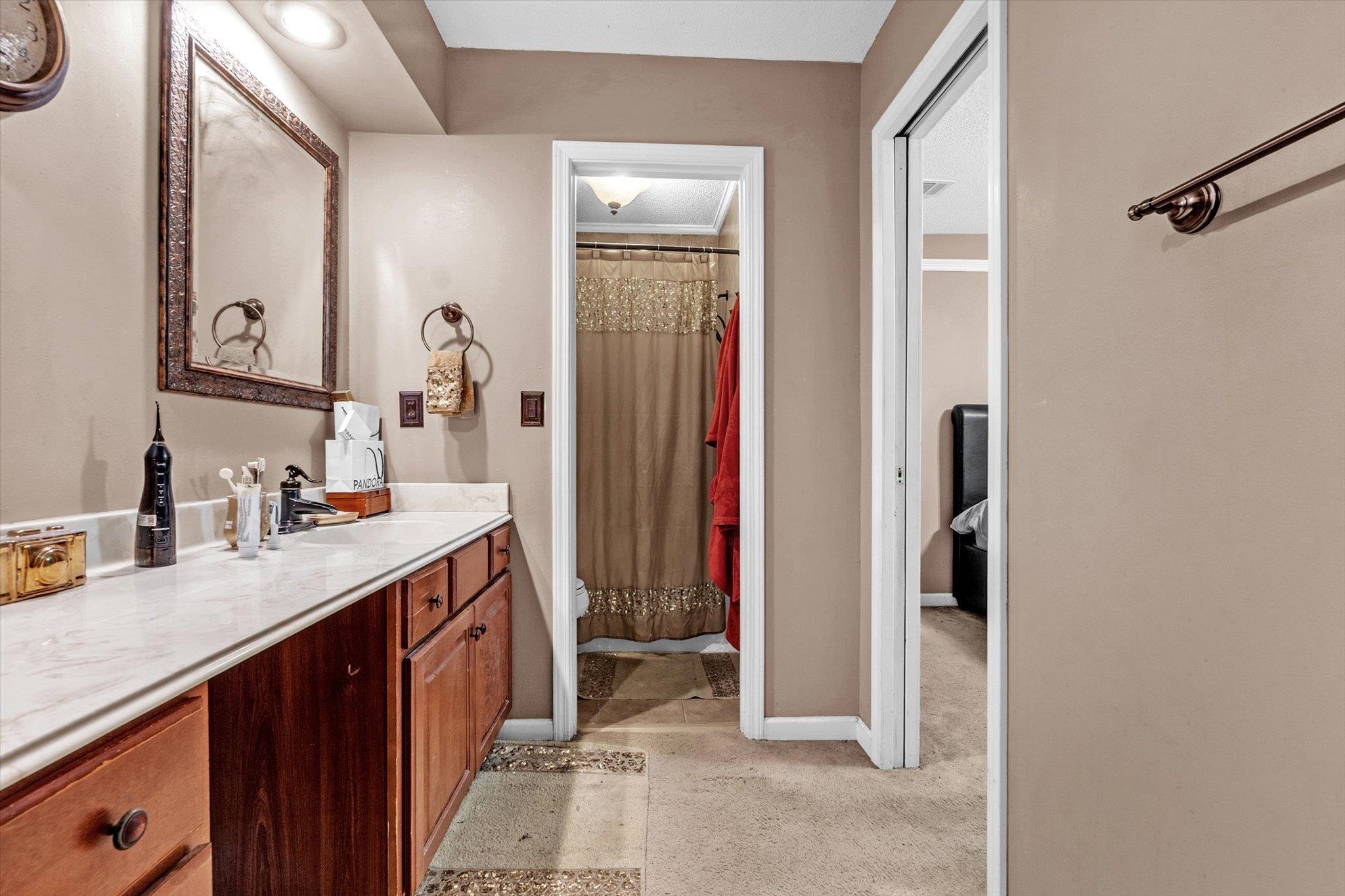 480 Friars Point Lane Memphis, TN 38018 - Photo 18 of 26 Full bath with curtained shower and vanity