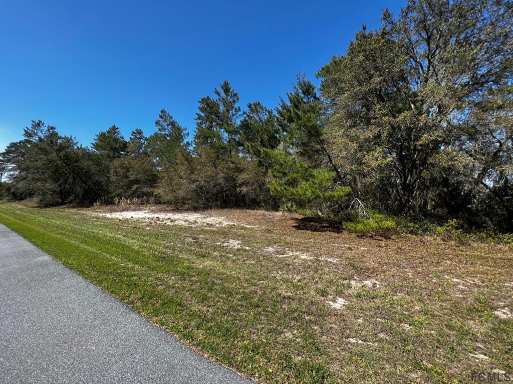 a view of a field with an tree