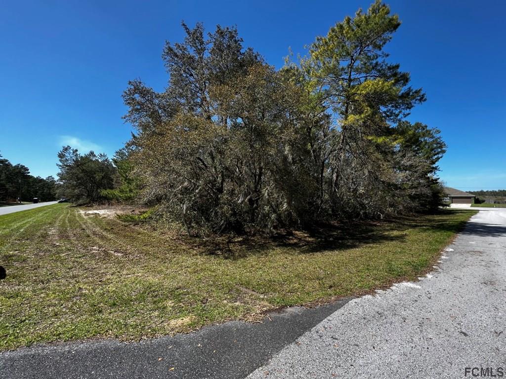 Xx No Address Assigned Ocala, FL 34473 - Photo 2 of 9 a view of a yard