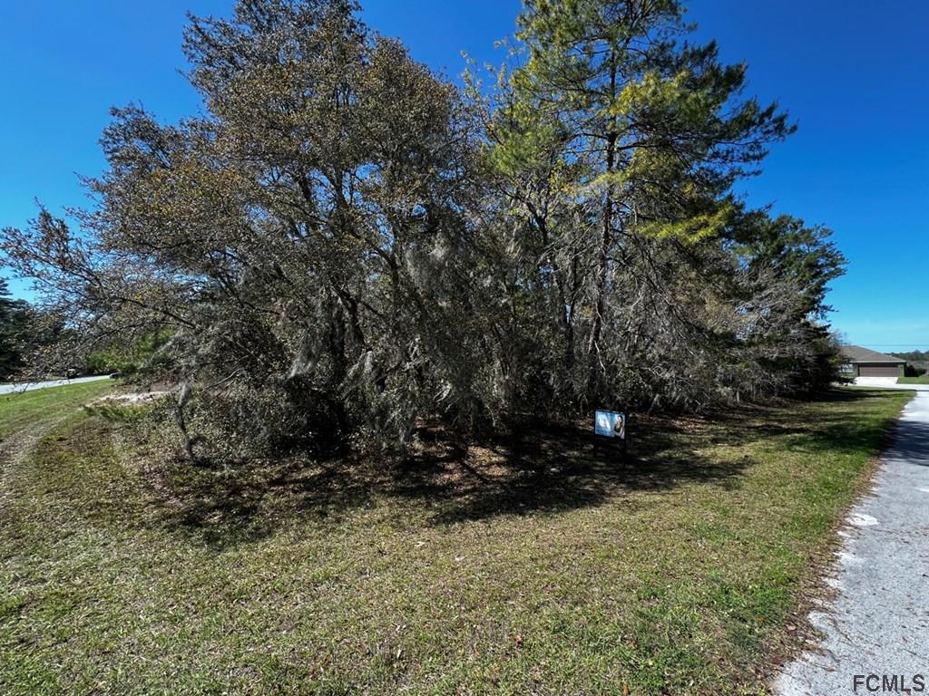 Xx No Address Assigned Ocala, FL 34473 - Photo 4 of 9 a view of outdoor space and yard