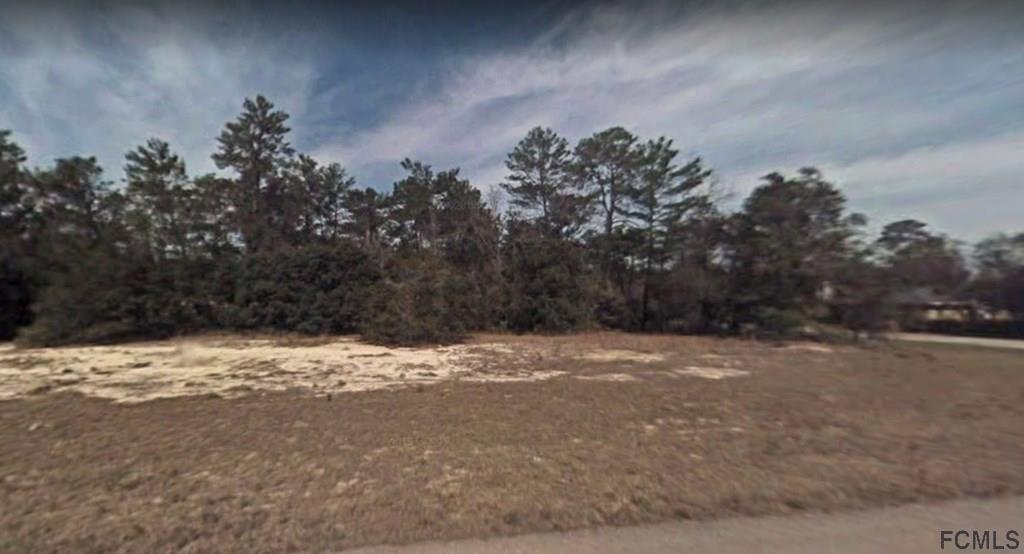 Xx No Address Assigned Ocala, FL 34473 - Photo 9 of 9 a view of a yard with a tree