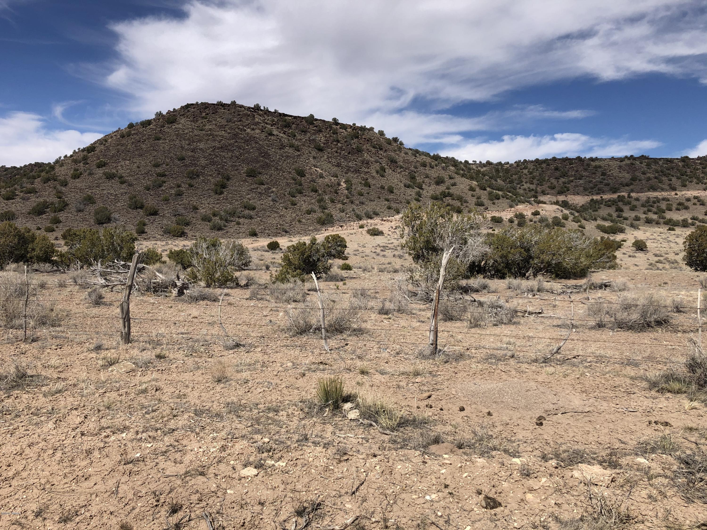 Lot 85 River Springs Ranch Eagar, AZ 85925 - Photo 11 of 11