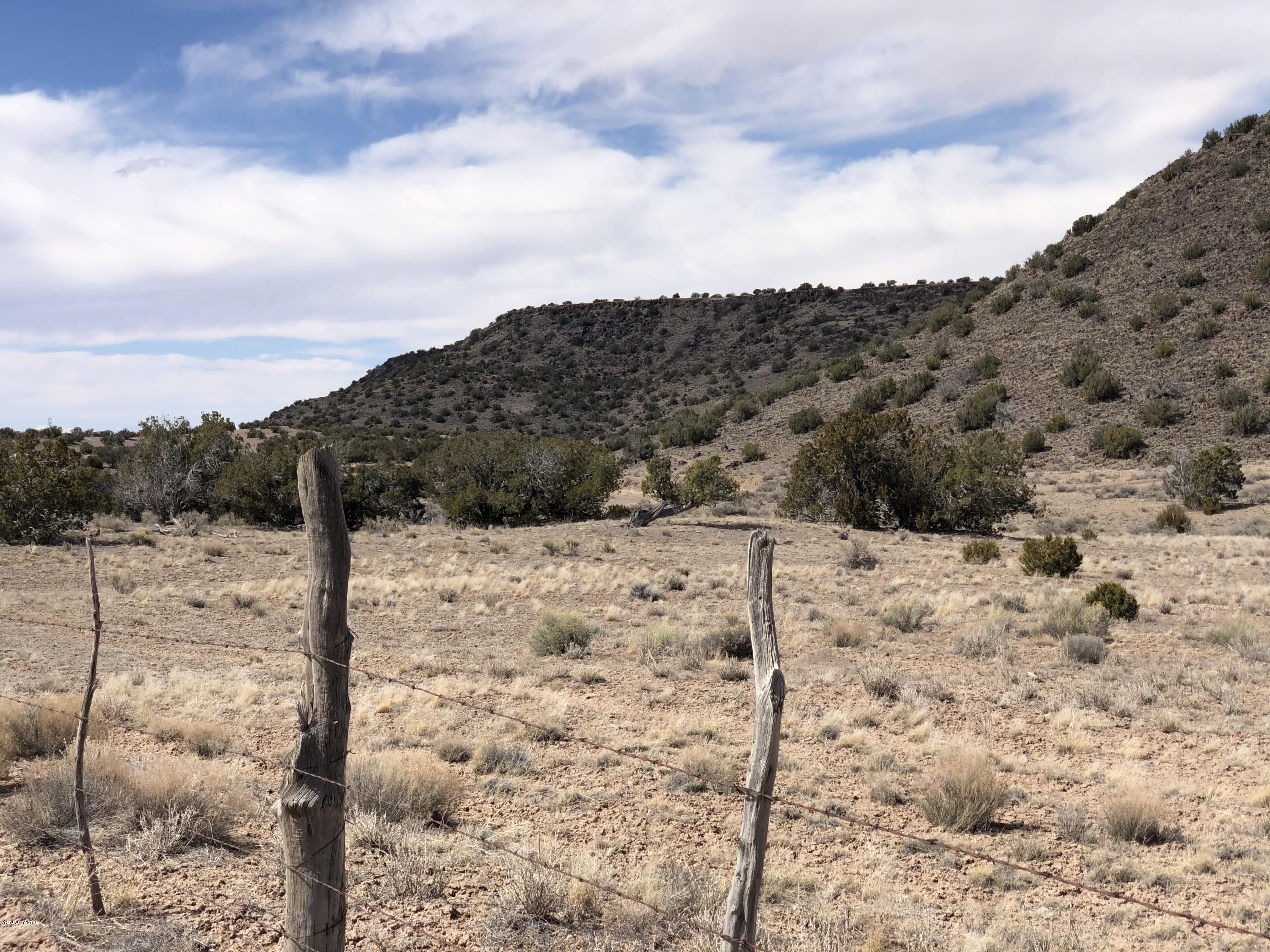Lot 85 River Springs Ranch Eagar, AZ 85925 - Photo 3 of 11