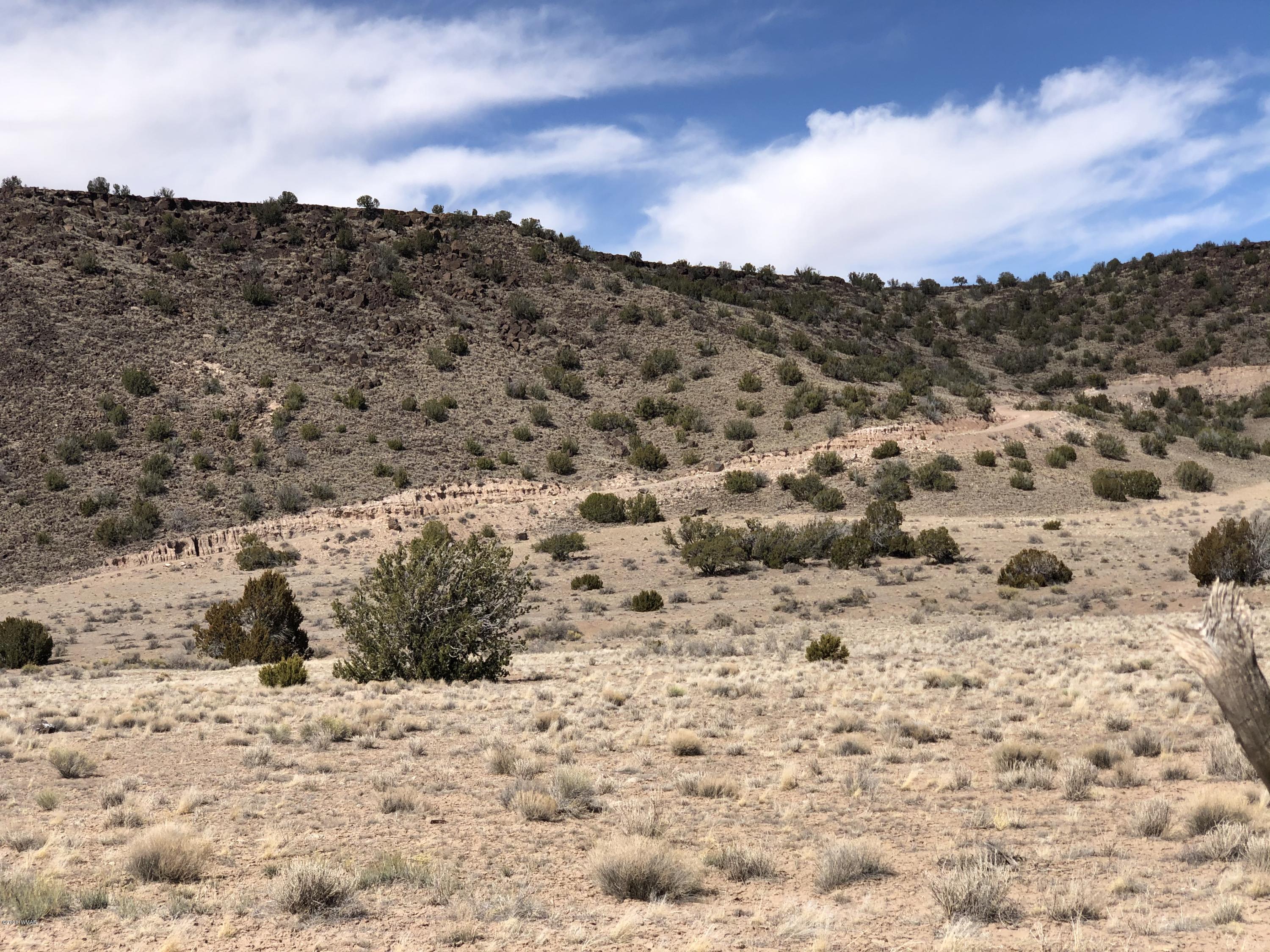 Lot 85 River Springs Ranch Eagar, AZ 85925 - Photo 4 of 11