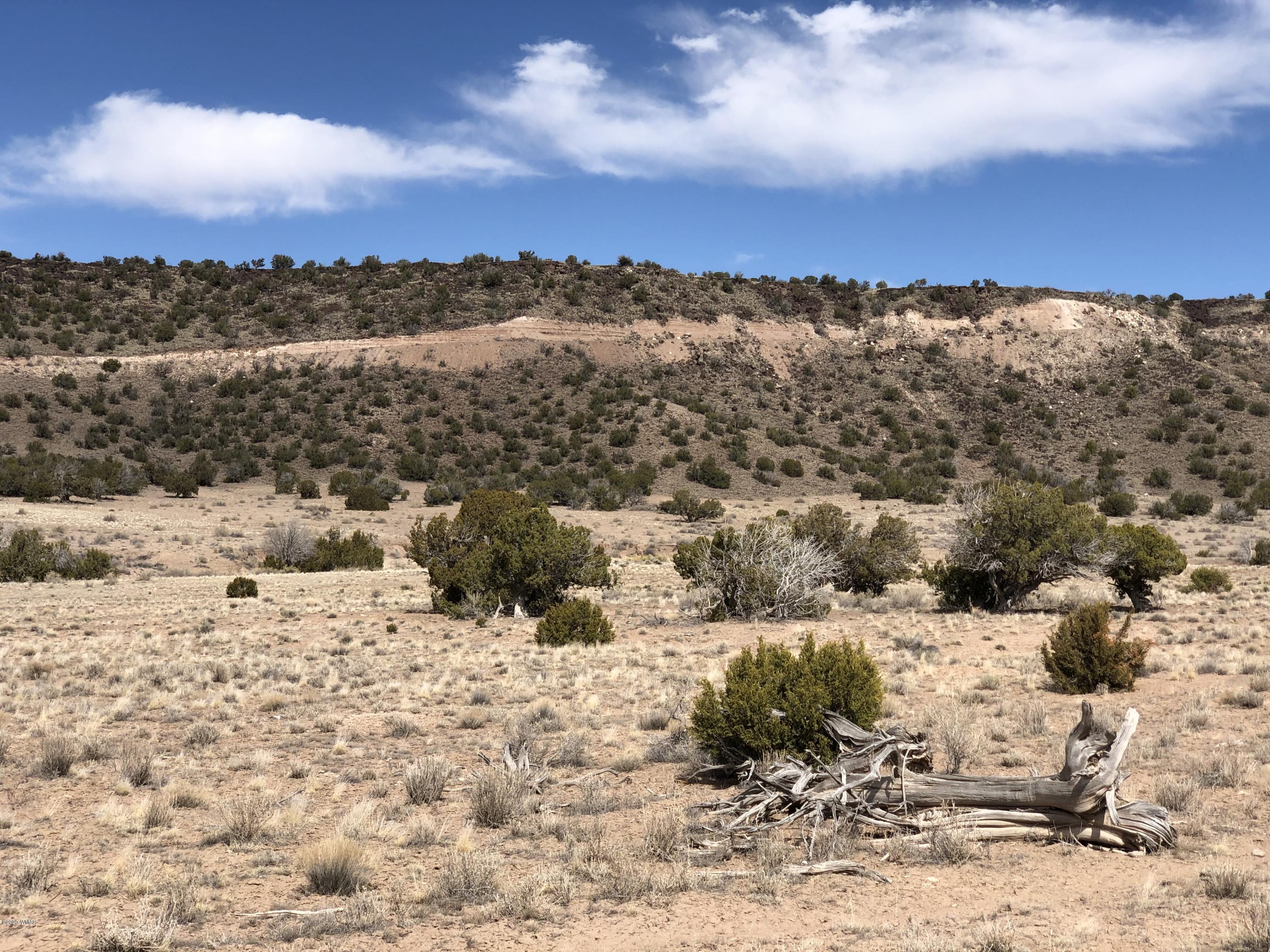 Lot 85 River Springs Ranch Eagar, AZ 85925 - Photo 6 of 11