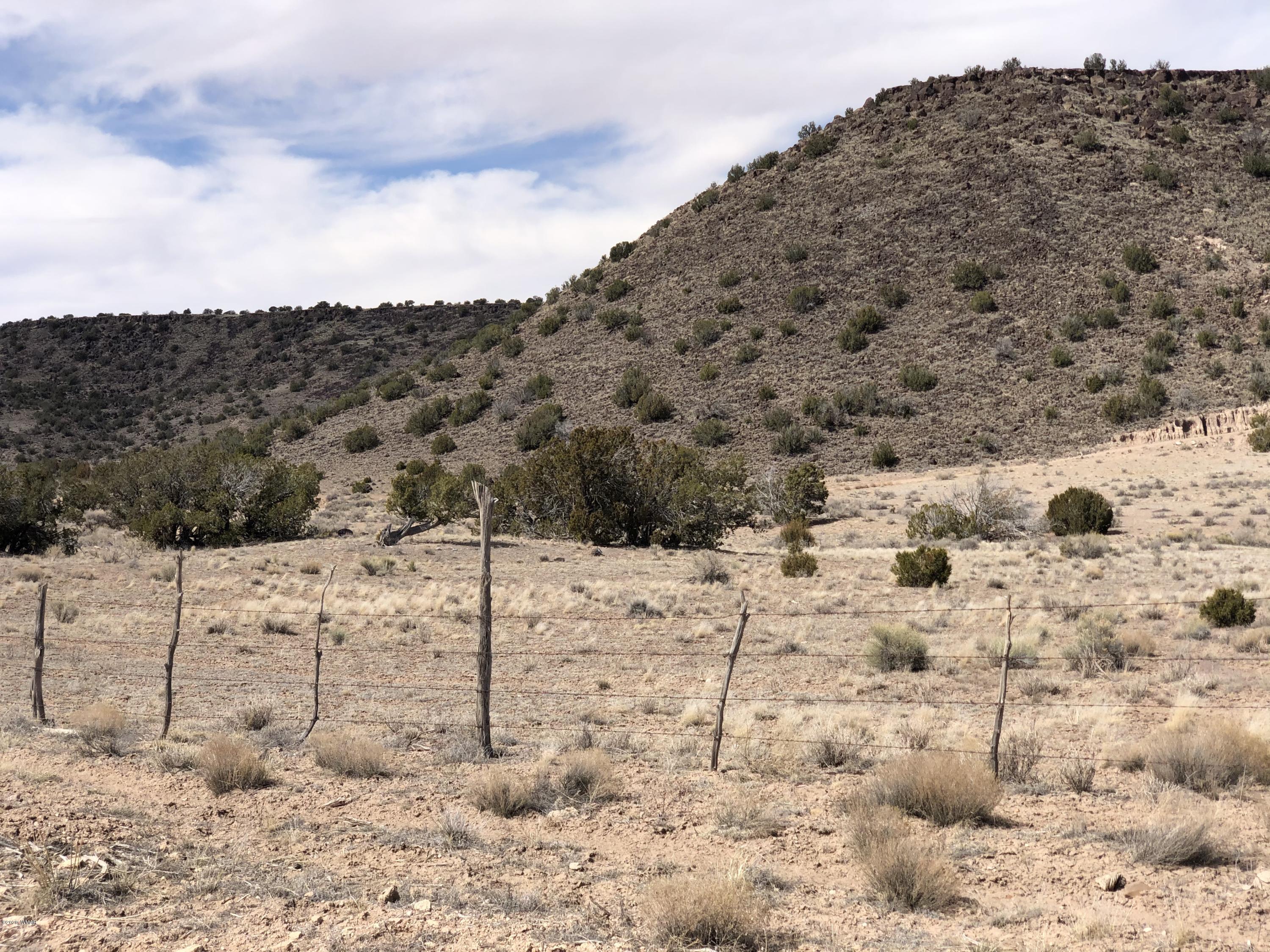 Lot 85 River Springs Ranch Eagar, AZ 85925 - Photo 7 of 11