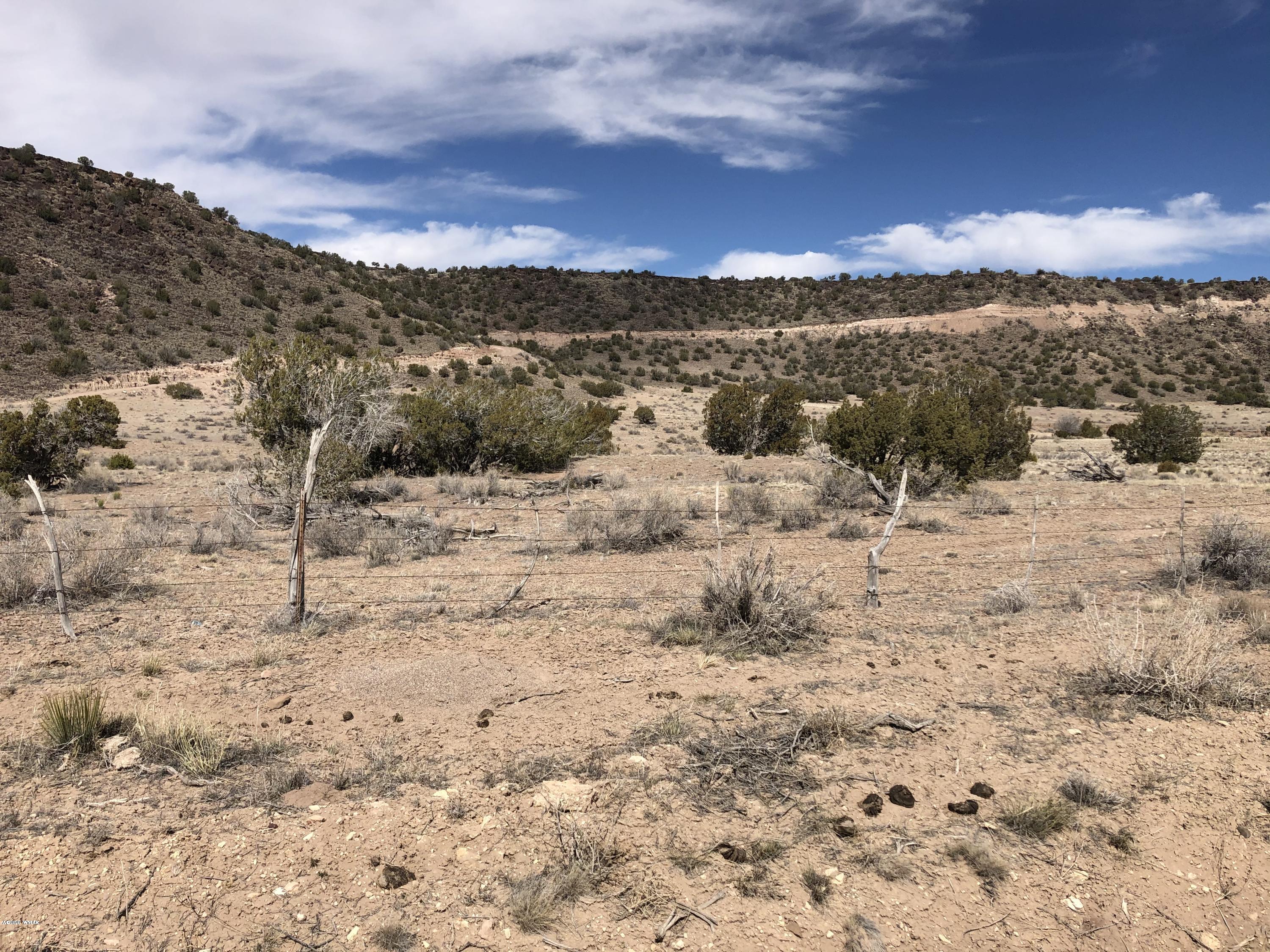Lot 85 River Springs Ranch Eagar, AZ 85925 - Photo 9 of 11