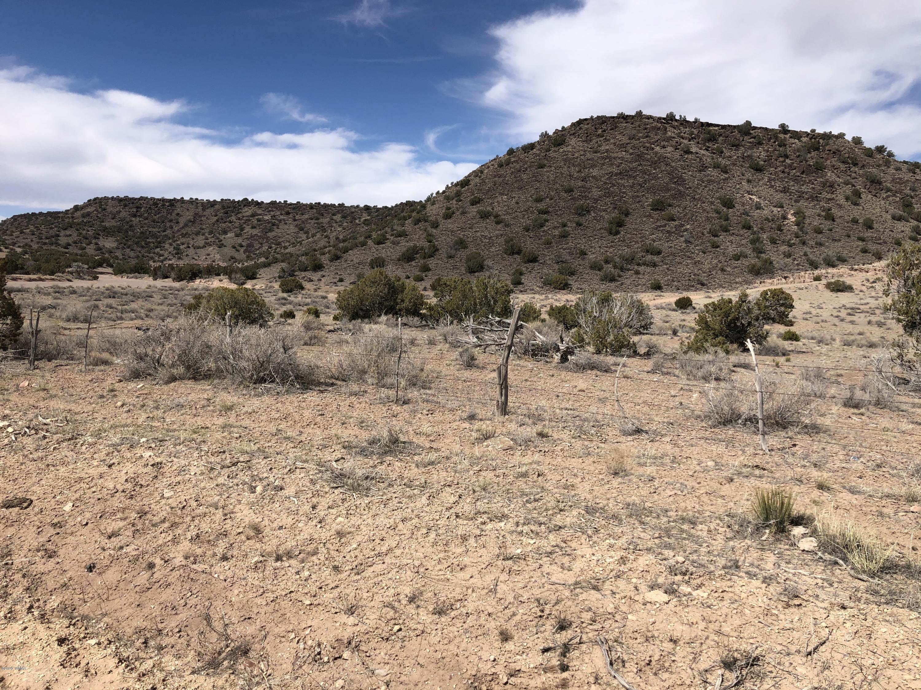 Lot 85 River Springs Ranch Eagar, AZ 85925 - Photo 10 of 11