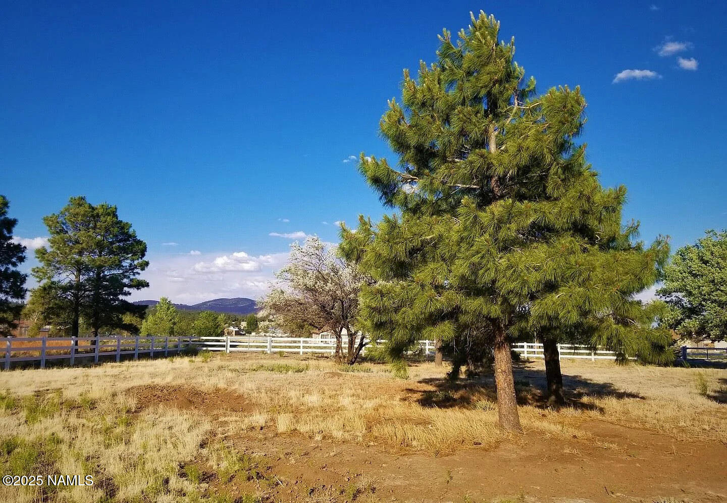 12970 Doyle Road Flagstaff, AZ 86004 - Photo 17 of 26 820d65dfd628e69186f73394317d433e-uncropp