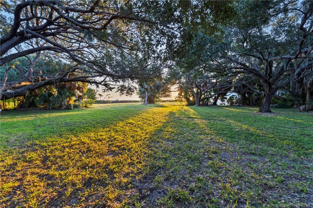 36 South Sewalls Point Road Sewall's Point, FL 34996 - Photo 10 of 15 a view of a trees with a big yard