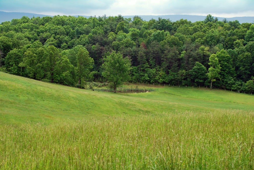 101 Windy Ridge Lane Lindside, WV 24951 - Photo 24 of 30 Pond