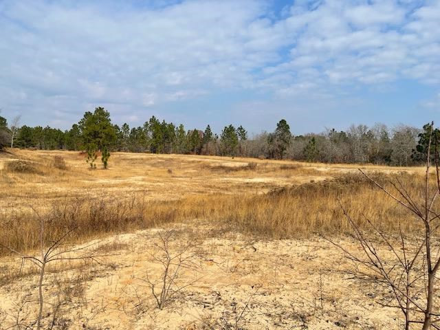 0 Beck Road Williston, SC 29853 - Photo 3 of 5