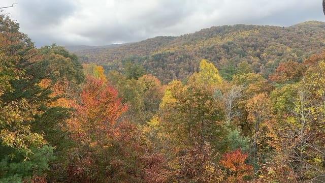 101 Falling Rock Road Blue Ridge, GA 30513 - Photo 52 of 64 Photo provided by seller