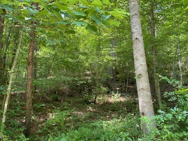 2389 Trace Branch Road Livingston, KY 40445 - Photo 21 of 23 21