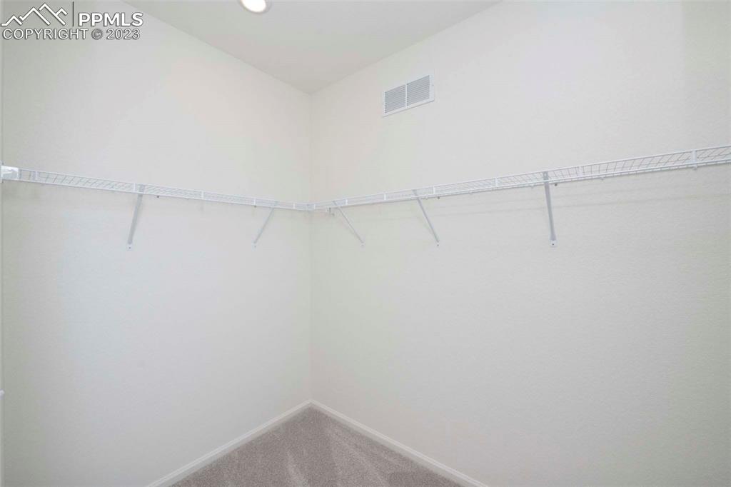 2057 Peachleaf Loop Castle Rock, CO 80108 - Photo 18 of 23 a view of a small space