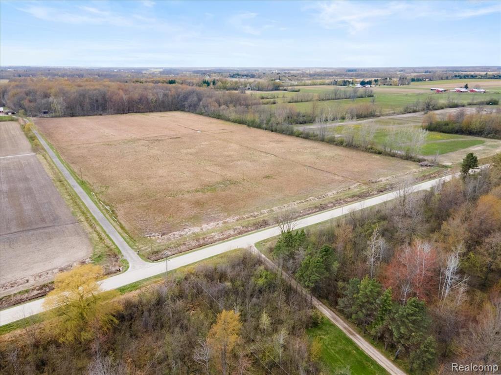 Vl Cribbins Road Avoca, MI 48006 - Photo 5 of 8