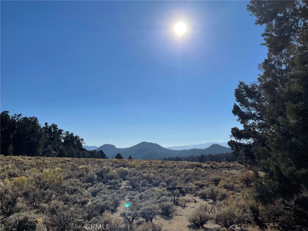 0 Long Canyon Trail Inyokern, CA 93527 - Photo 1 of 8 a view of a yard in front of a house