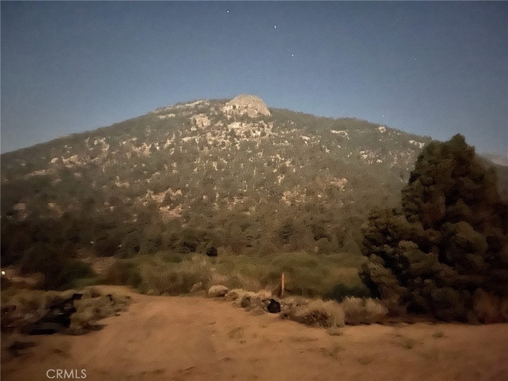 0 Long Canyon Trail Inyokern, CA 93527 - Photo 6 of 8 a view of a yard