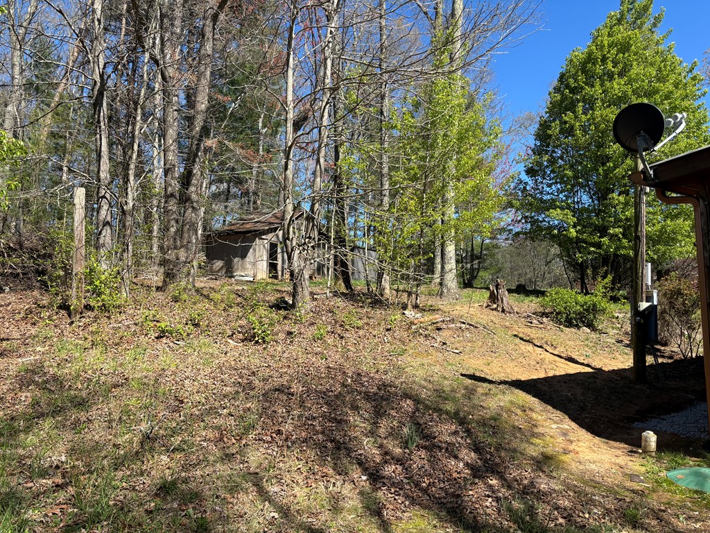 16 Old Home Pl Road Blue Ridge, GA 30513 - Photo 34 of 36