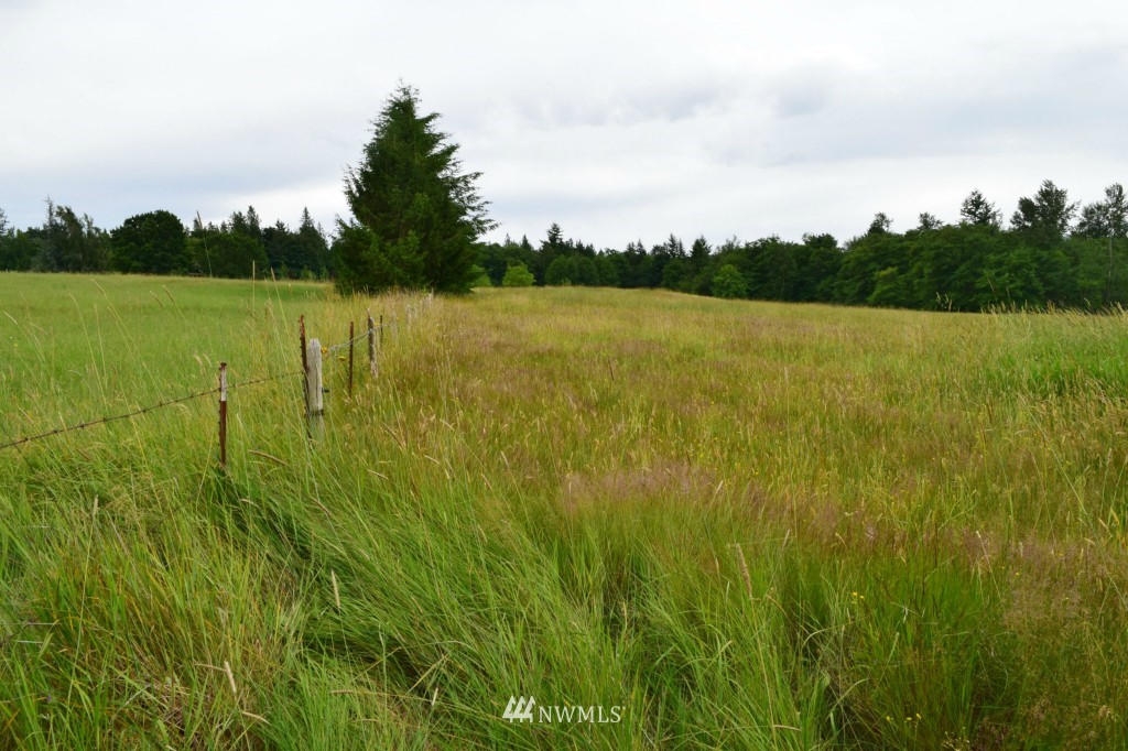 1401 Central Road Everson, WA 98247 - Photo 22 of 25