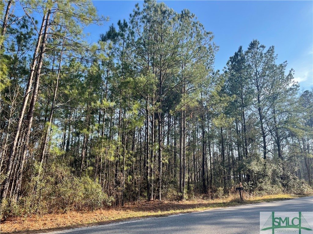 537 Low Ground Road Rincon, GA 31326 - Photo 1 of 1