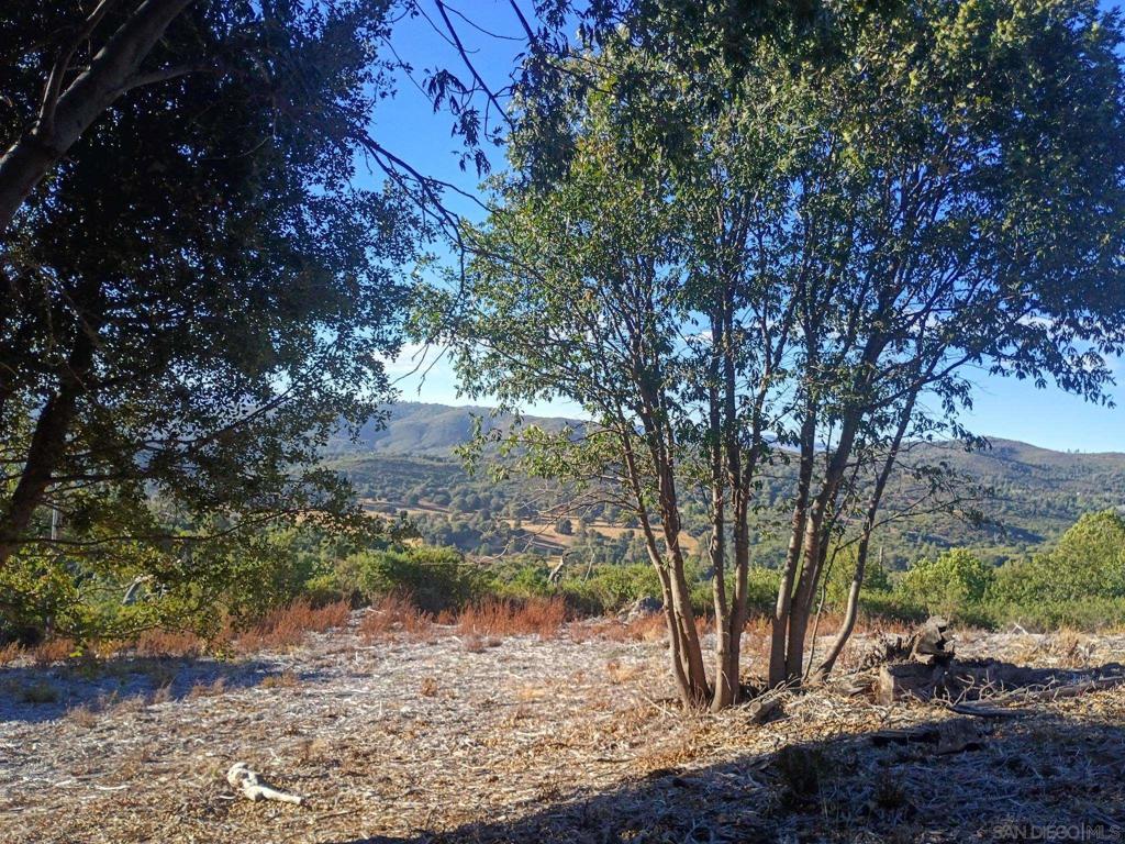 17150 Iron Springs Road Julian, CA 92036 - Photo 41 of 45