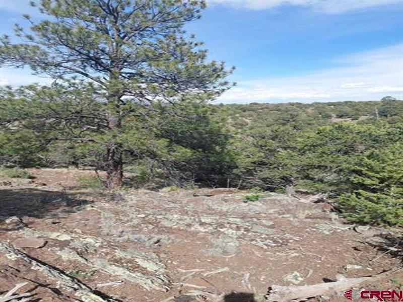 256 Sunrise Road South Fork, CO 81154 - Photo 1 of 6